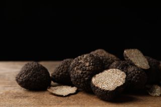 Visste du att tryfflar lever i en nära symbios med trädrötter? 🌱 Mykorrhiza, eller svamprot, är symbiosen där svamptrådarna växer runt och i trädets kortrötter, och byter vatten och mineraler mot kolhydrater från trädet. Tryffeln hjälper trädet, och trädet ger tryffeln det som behövs för att trivas! ✨ Det är en fascinerande dans under jord som skapar naturens kanske mest exklusiva delikatess! 🤯

Lär dig allt om tryffelns magiska värld på vår tryffelkurs den 7/11. Begränsade platser! Boka nu via länken i vår bio. 🍽️✨