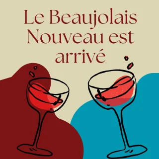 Visste du att Beaujolais Nouveau inte bara är ett vin också en hyllning till hantverket och årets skörd. 🍇 Det handlar om ett lätt och fruktigt rödvin som tillverkas av Gamay-druvan i Beaujolais-regionen i Frankrike. Det som gör detta vin unikt är dess snabba resa från vingård till glas – det skördas i september och finns redo att drickas redan i november!

Beaujolais Nouveau-dagen, som infaller den tredje torsdagen i november, har varit en årlig fest sedan 1950-talet. Traditionen började som en lokal firande där bönder och vinmakare i regionen delade årets första vin. Men med tiden spreds fenomenet och blev en internationell fest med mottot: "Le Beaujolais Nouveau est arrivé!" (Beaujolais Nouveau har anlänt!).

Detta vin genomgår en speciell metod som kallas Macération Carbonique / kolsyrejäsning på svenska, detta är en intracellulär jäsning som innebär att hela druvklasar läggs i en tätsluten jäsningsbehållare fylld med koldioxid och på så sätt så startar jäsningen inuti druvorna.  Resultatet? Ett mjukt, bärigt vin med toner av röda frukter som jordgubbar och hallon – perfekt för att drickas ungt!

Trots sin lekfulla karaktär bär Beaujolais Nouveau också på en seriös sida. Det ger en första inblick i årets skörd och är ofta en indikation på kvaliteten hos Beaujolais-regionens mer komplexa viner, som Beaujolais Crus som Morgon och Fleurie.

Så nästa gång du tar ett glas Beaujolais Nouveau, tänk på att du smakar på en bit av vinvärldens historia – och kanske framtid! 🍷

Sugen på att lära dig mer om vin? Spana in våra dryckesutbildningar

 #vinutbildning #sommelier #sommelierutbildning #beaujolais #beaujolaisnouveau