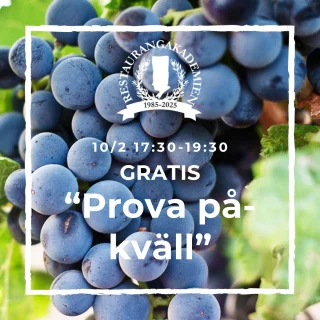 Sista chansen! 
Missa inte måndagens prova på-kväll med oss på Restaurangakademien. 

Kom och mingla, kolla på våra lokaler, testa hur en vinprovning går och få svar på alla dina frågor om våra dryckesutbildningar. Perfekt om du är nyfiken på vår sommelierutbildning, eller någon av våra andra dryckesutbildningar. 

När? 10 februari, kl. 17:30–19:30
Var? Restaurangakademien, Rökerigatan 4, Slakthusområdet
Kostar det något? Nej, det är helt gratis att delta! Men platserna är begränsade, så anmäl dig snarast för att säkra din plats.

Länk i Bio